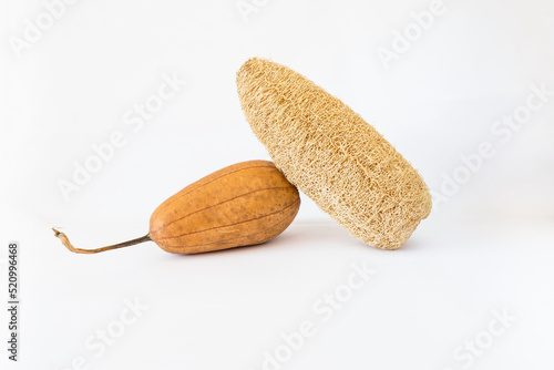 Fotografie Dry luffa, luffa sponge on white background, Dry luffa cylindrica natural sponge