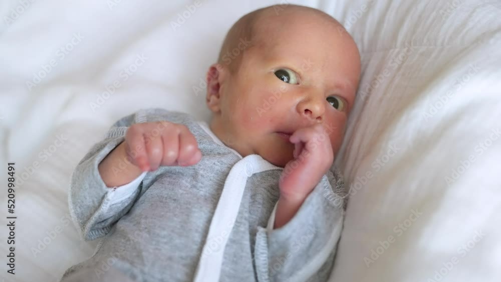 newborn baby boy. cute small newborn lies in a cocoon crib indoors close-up. happy family newborn lifestyle kid dream concept. little baby 1 month old lies looking at the camera newborn baby boy. cute small newborn lies in a cocoon crib indoors close-up. happy family newborn lifestyle kid dream concept. little baby 1 month old lies looking at the camera
