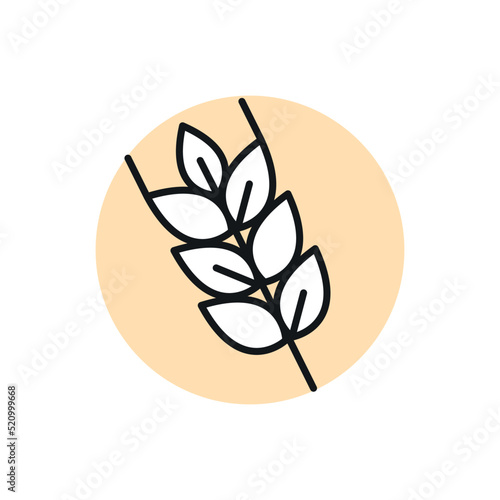Wheat icon. Bread, grain, seeds. Harvest concept. Can be used for topics such as agriculture, gluten plant. 