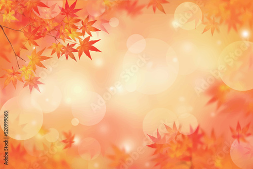 キラキラ輝く美しい紅葉の葉のオシャレなベクターの光の差し込むピンボケの背景素材フレーム © Merci