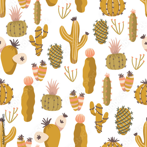 Boho Cactus Plants Outdoor Vector Seamless Pattern photo