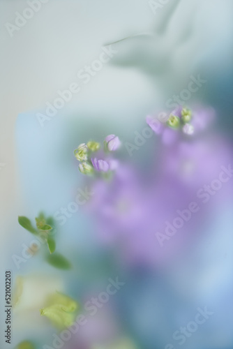 Original floral blur background for text