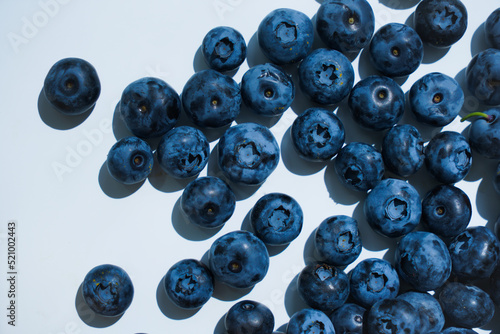 Fresh blueberries on a white background in the daylight, close-up of the delicious berries