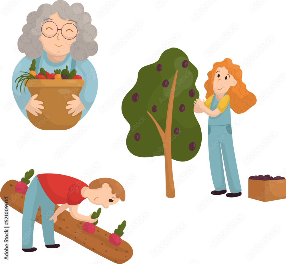 Vector set with pickers of vegetables and fruits
