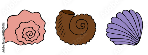 Sea shell. Underwater fossils set. Color vector illustration collection. Former home of the clam. Invertebrate exoskeleton. Cartoon style. Isolated background. Idea for web design.