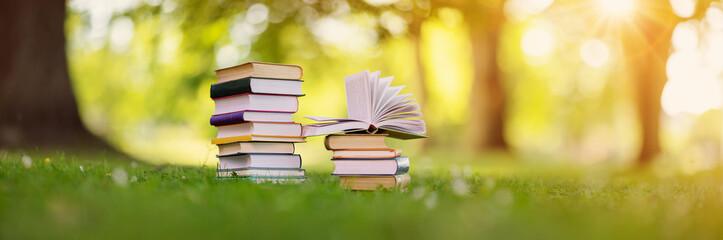 Stacks of the different books are on the green grass in the park