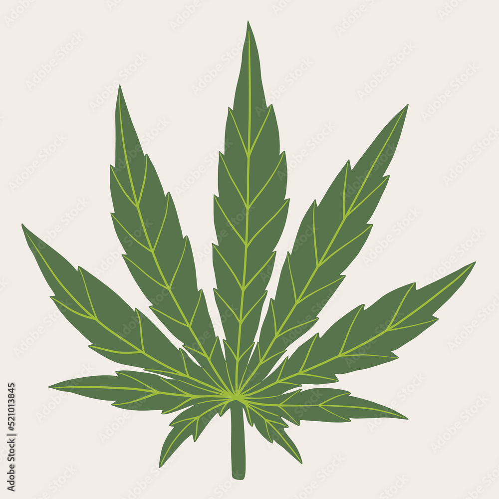 simplicity cannabis leaf freehand drawing. - obrazy, fototapety, plakaty 