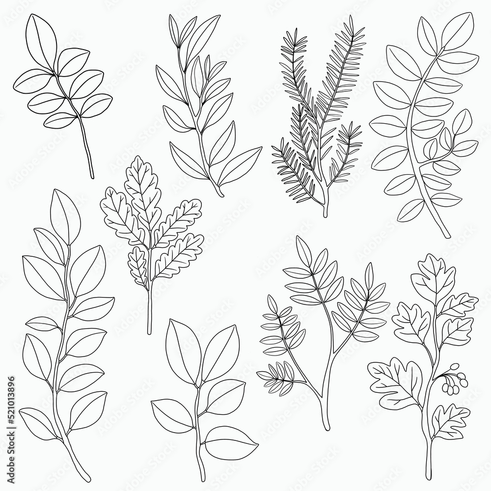 Simplicity floral freehand continuous line drawing flat design. Simplicity floral freehand continuous line drawing flat design.