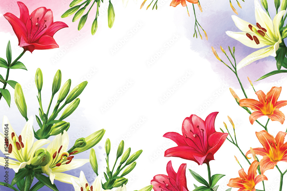 frame of blooming lily flowers illustration background