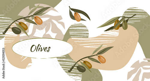 Olives banner backdrop and decorative background with olive plant and place for text. Layout or banner design for olive oil and natural cosmetics  health care products  flat vector illustration.