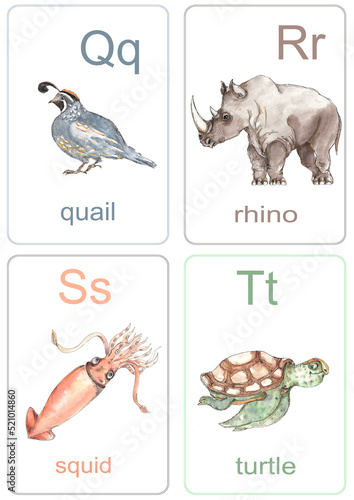 Photography Animals icons vintage style collection ABC  watercolor illustration flashcard
