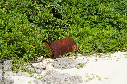 Rusty oil drums washed up in the bushes on the beach