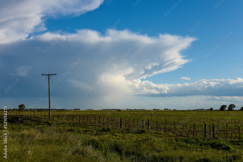 Argentine countryside landscape, La Pampa province, Patagonia, Argentina.