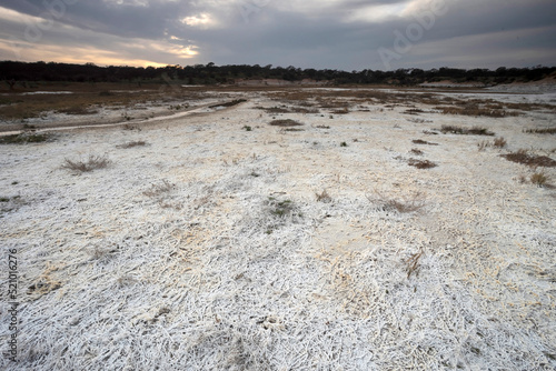 Saltpeter on the floor of a lagoon in a semi desert environment, La Pampa province, Patagonia, Argentina. photo