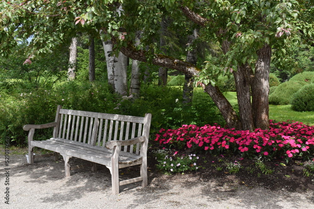 A bench in the garden, Métis, Québec, Canada