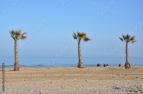 3 einsame Palmen am Strand in Sottomarina
