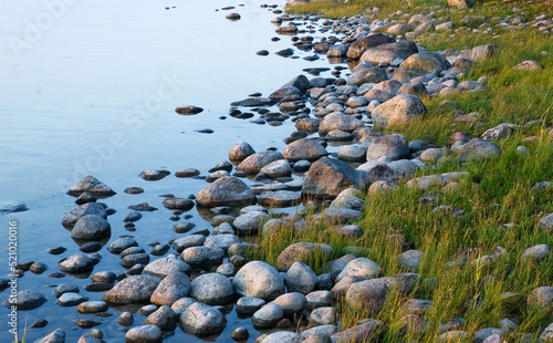 Shoreline of a sea or lake with big round rocks boulders and typical shoreline grass 