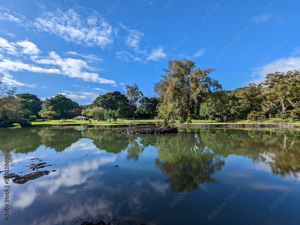 Fototapeta premium lake and forest