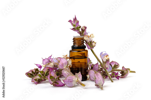 A bottle of essential oil with fresh blooming clary sage twigs on white background.