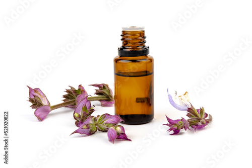 A bottle of essential oil with fresh blooming clary sage twigs on white background.