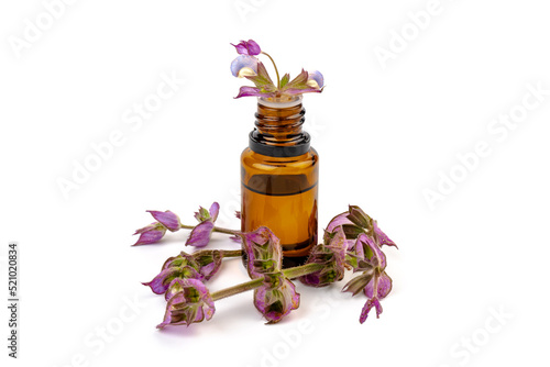 A bottle of essential oil with fresh blooming clary sage twigs on white background.