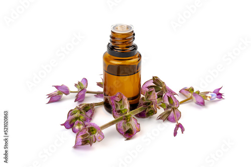 A bottle of essential oil with fresh blooming clary sage twigs on white background.