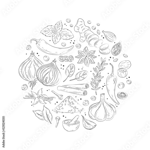 Spices and herbs banner. Vector illustration of hand drawn kitchen herbs with vanilla, anise, ginger, cinnamon, curry, basil, garlic, pepper, rosemary. Popular indian spices in doodle style for menu