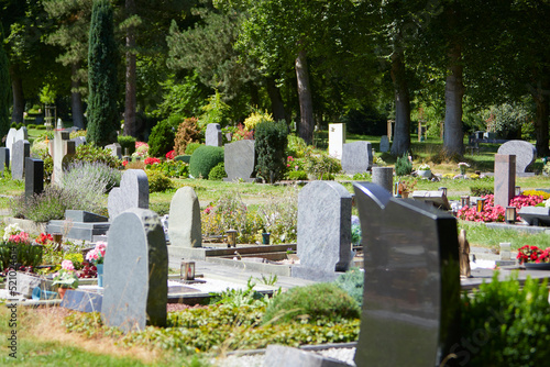 row of graves on a grave yard photo