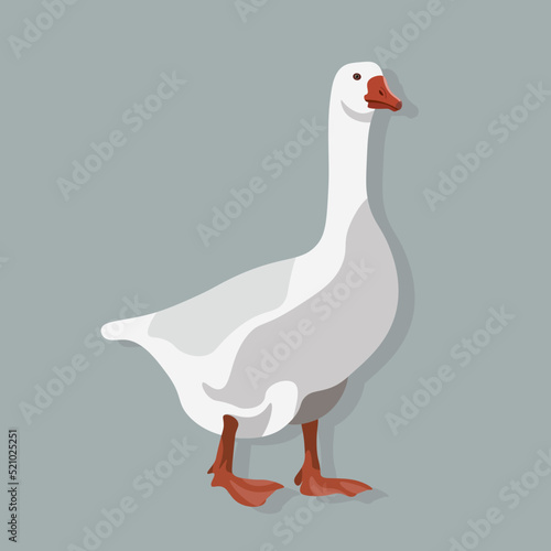 White cartoon goose isolated on background