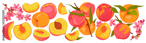 Peach set vector illustration. Cartoon isolated whole fresh peach or nectarine, cut in half, pieces and juicy segments, ripe fruit on branch with green leaves and flowers pink blossom in spring garden