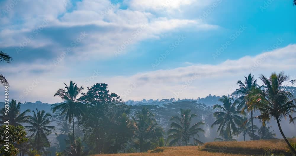 Rice terraces with clouds moving in blue sky on sunny day, timelapse. Typical agricultural landscape in Asia Rice terraces with clouds moving in blue sky on sunny day, timelapse. Typical agricultural landscape in Asia