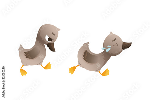 Grey Ugly Duckling from Fairytale Feeling Sad and Crying Vector Set