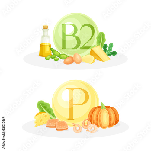 Products ontaining Vitamin B2 and Phosphorus with Fish, Dairy Food, Oil and Legume Vector Composition Set