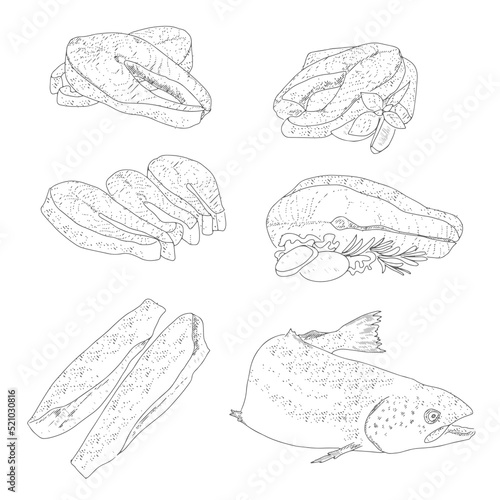 A set of fish products, pieces, fillets, steaks from sea and river fish. Collection for fish market, fish restaurant menu