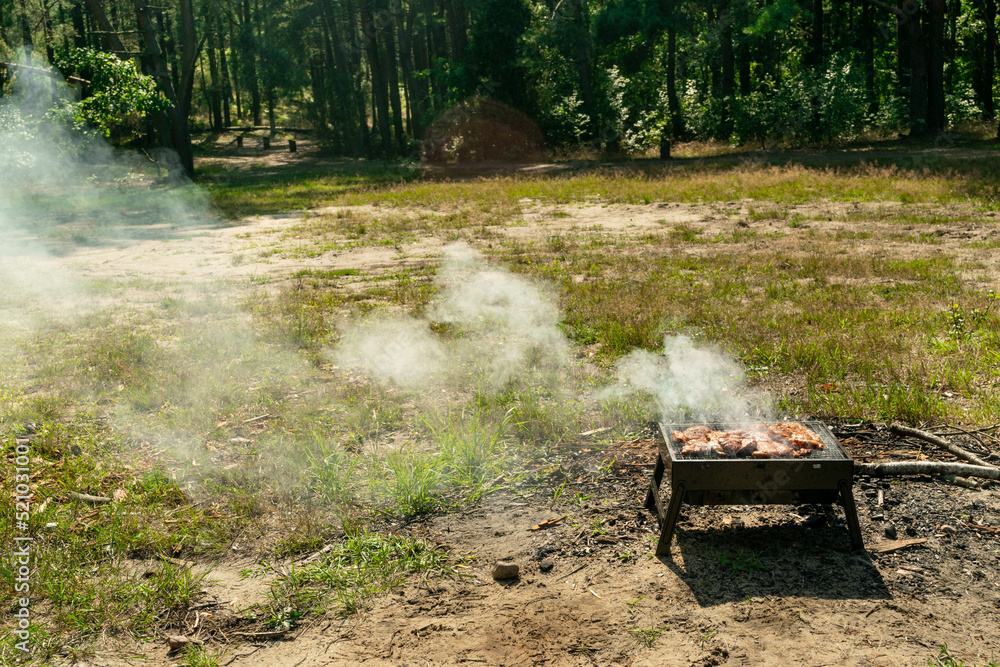 Small Barbecue Grill