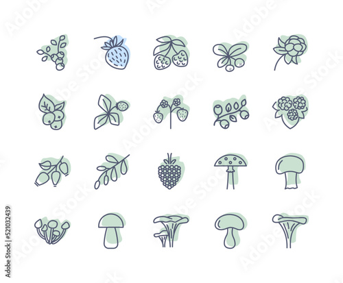 Forest berries and mushroom flat line icons set. Fresh berries raspberry, lingonberry, blueberry, blackberry, strawberry. Simple flat vector illustration for store, web site or mobile app