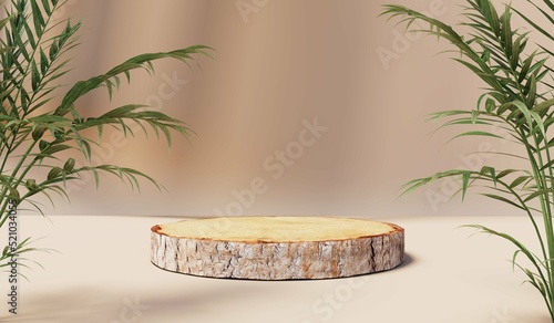 Wood slice podium with leav...