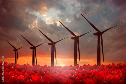Wind power generators in a field with red tulips against the backdrop of the sunset. Green energy.