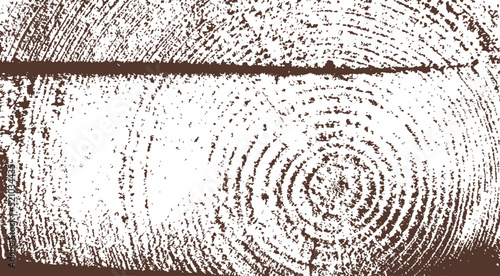 wood rings imprint  vector  illustration