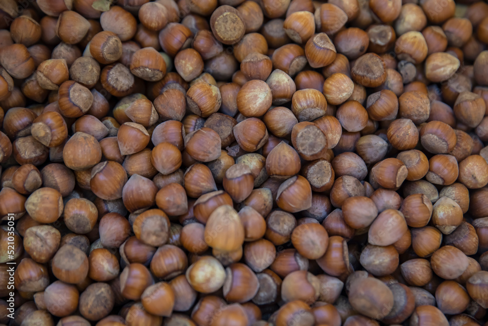 Fresh harvested hazelnut in a sack. Fresh harvested hazelnut in a sack.