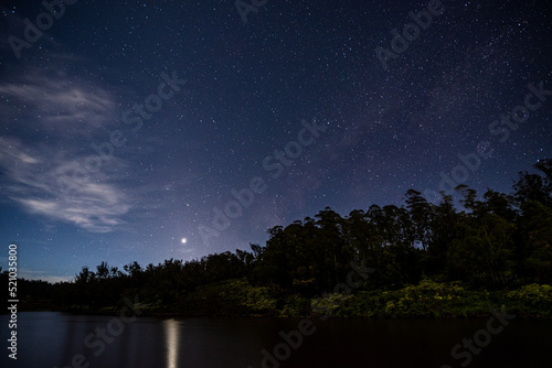 night sky on the bank of a river and trees in the foreground