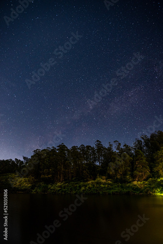 night sky on the bank of a river and trees in the foreground