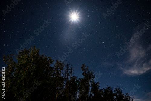 night sky on the bank of a river and trees in the foreground