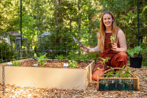 A young blonde woman is ready to plant pepper transplants in raised garden beds in late Spring early summer. Transplants are carried easily in a garden hod and dug into the ground with a Hori Hori photo