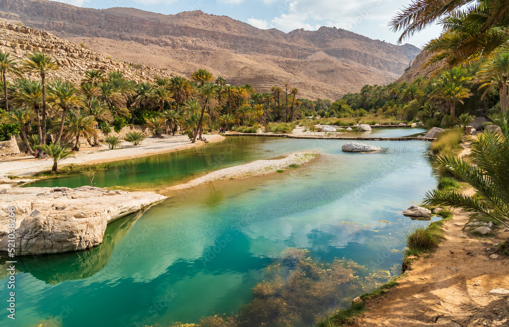 View of the Wadi Bani Khalid oasis in the desert in Sultanate of Oman.