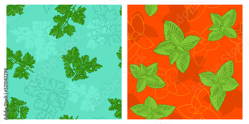 Seamless herbs parsley basil pattern set