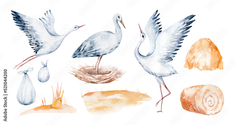 Fototapeta premium Watercolor stork bird and wildflowers with poppy, cornflower chamomile, rye and wheat spikelets . Wedding and baby shower invitation