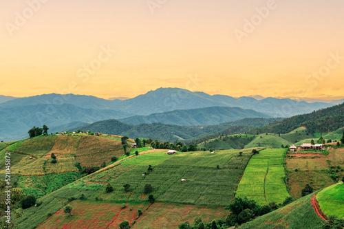 Ban pa pong piang rice terraces at chiangmai,This is the most beautiful rice terraces in Thailand