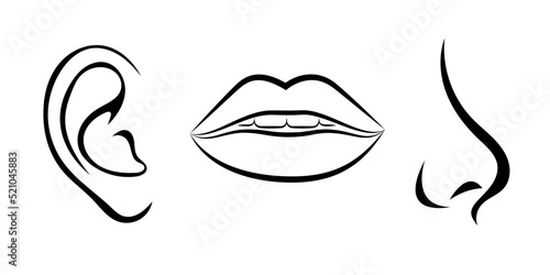 lip, nose, ear icon or logo isolated sign symbol vector illustration - high quality vector icons in black style