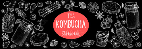 Kombucha tea and ingredients for kombucha sketch. Hand drawn vector illustration. Kombucha drink. Tea mushroom, tea fungus, or Manchurian mushroom.